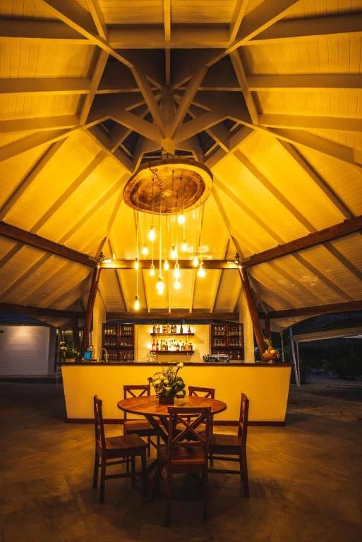 Infinity pool overlooking tropical canopy at Mikado Natural Lodge