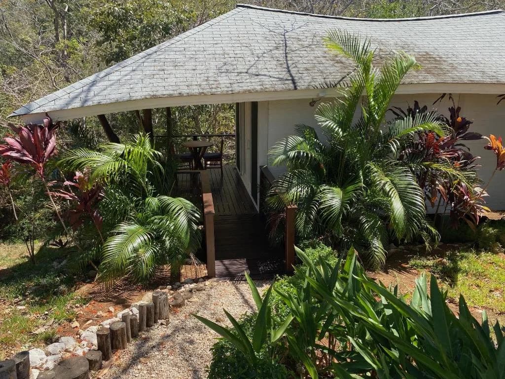 Family Room Jungle view  - 3