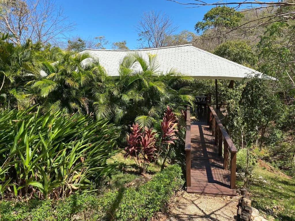 Family Room Jungle view  - 2
