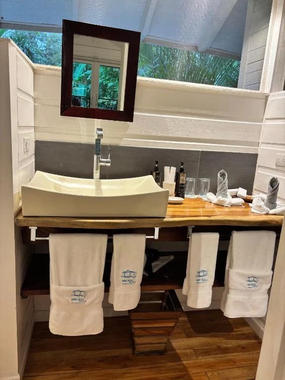 Family Room Jungle view  - 4